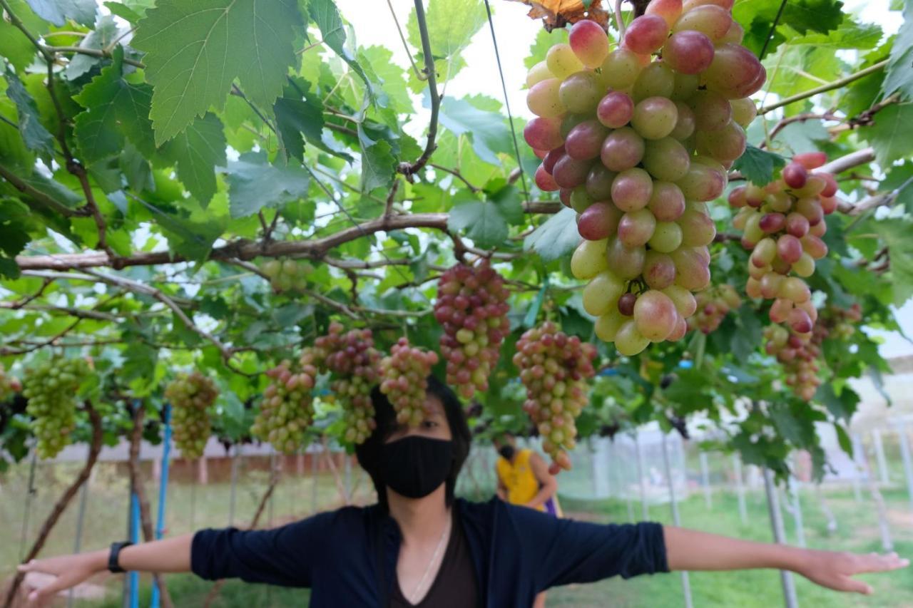 阁遥岛简单旅馆酒店 外观 照片